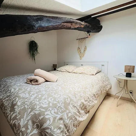 Proche Place Soult L 2 Ch L Climatise Appartement Castres (Tarn)